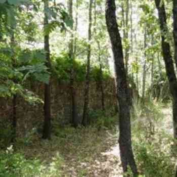 Click para ampliar. Pulsa en el nombre para ver la ficha. Vista interior-Muralla-San Martin